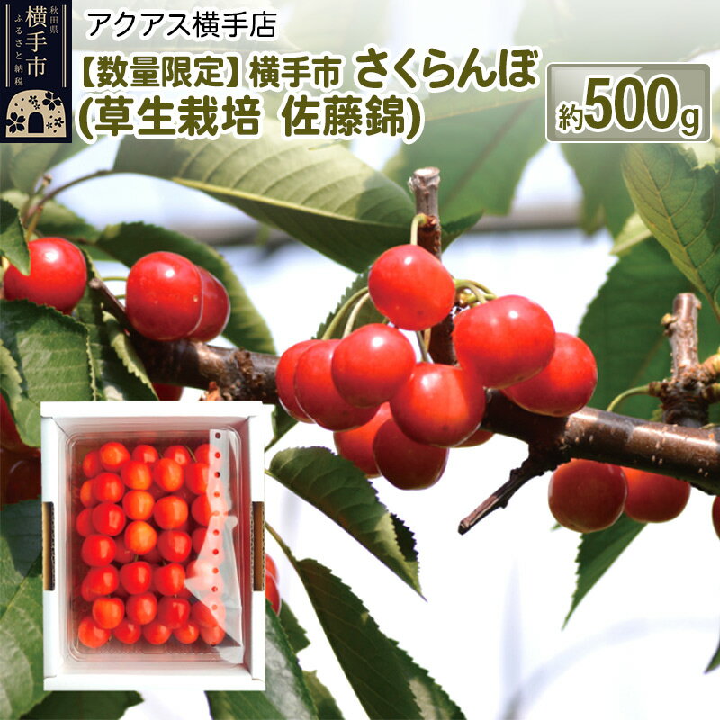 【ふるさと納税】横手市 さくらんぼ （草生栽培 佐藤錦） 約500g