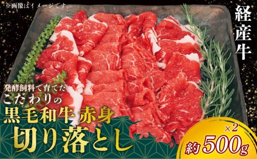 先行予約1月～ 黒毛和牛 赤身切り落とし 約500g (250g×2) 冷凍 経産牛 切り落とし 小分け パック 赤身 肉 牛肉 国産 切落し 赤身肉 国産牛肉 国産牛 牛肉 便利 お手軽 ご褒美 冷凍牛肉 お肉 切り落し お米 に合う こめ に合う コメ と合う 赤身 お肉 赤み 切り落し 切り落とし 牛 きりおとし 切落し ふるさと納税切り落とし 人気 おすすめ 愛知県 南知多町