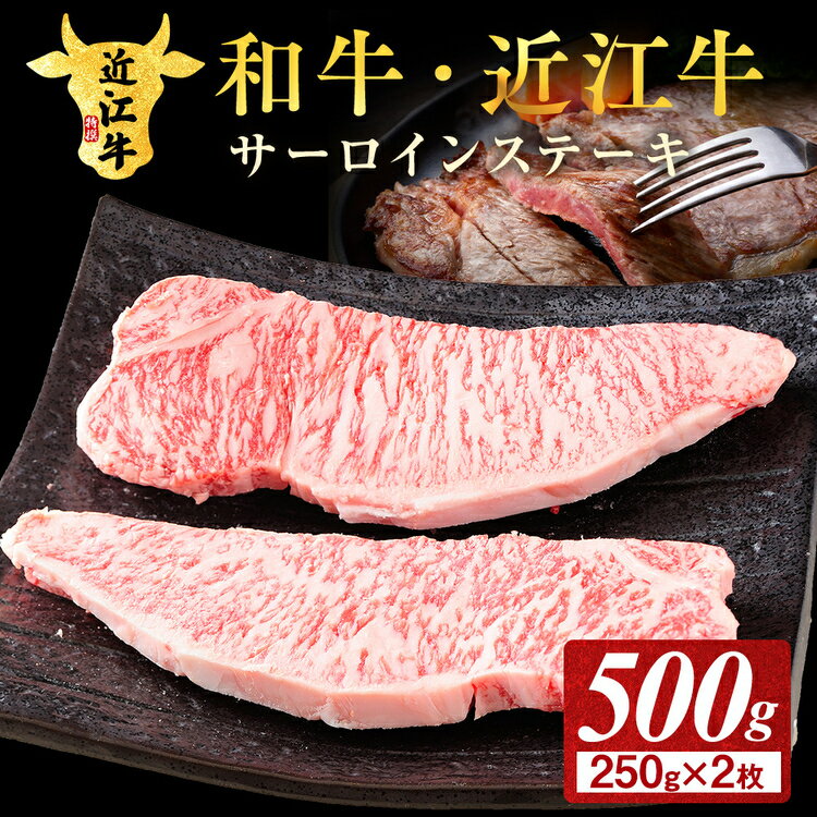 【ふるさと納税】近江牛 サーロインステーキ 500g ( 250g × 2枚 ) 近江肉 山村 肉 牛肉 サーロイン ステーキ肉 国産 ブランド牛 日本三大和牛 人気 ランキング バーベキュー アウトドア 焼肉 贈り物 贈答 ギフト 人気 ステーキ 和牛 おすすめ (171143-40036906)