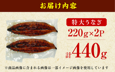 特大蒲焼（220g×2尾）魚 うなぎ ウナギ 土用の丑の日 鰻 かば焼き 蒲焼き 広川町 / イールファクトリー株式会社[AFBS005]