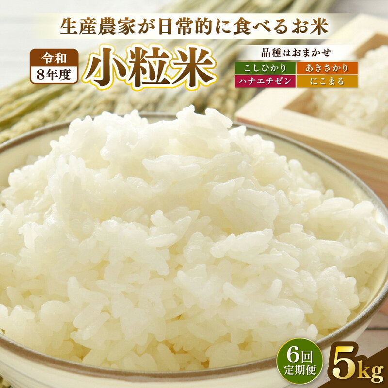 【ふるさと納税】【先行予約】定期便≪6ケ月≫令和8年産 若干小粒米 5kg×6回 計30kg 福井県越前町産 コシヒカリ・ハナエチゼン・あきさかり・にこまるのいずれか1品種 【白米】小粒規格米【2026年10月中旬以降順次発送】【お米 コメ kome 5キロ】
