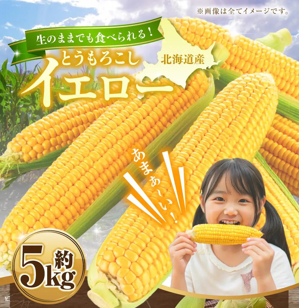 とうもろこし イエロー 約5kg 【2026年8月上旬～2026年8月下旬発送予定】 野菜 トウモロコシ コーン スイートコーン もろこし 甘い 北海道 浦臼町