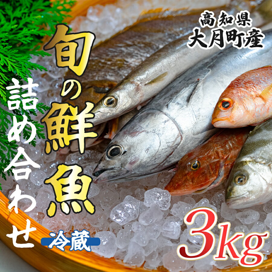 【ふるさと納税】高知県産 鮮魚 詰め合わせ便 3kg 谷鮮魚食堂 内臓未処理 産地直送 生魚 海鮮 セット 刺身 刺し身 煮付け カツオのたたき 詰合せ 食べ比べ グルメ 魚 お取り寄せ ギフト 贈答用 鮮魚セット 高知県 海鮮セット 大月町