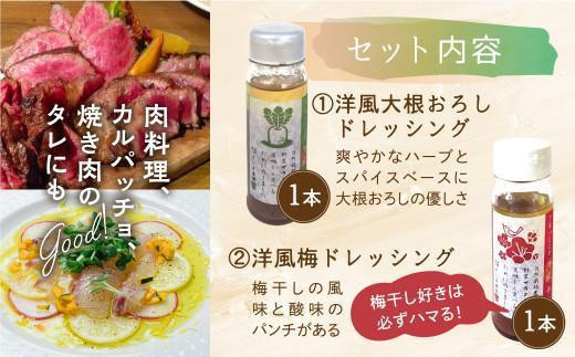 【12月配送】自然栽培農家のドレッシング3種 | 年内発送 自家栽培農家 ドレッシング サラダ 自家栽培 洋風ドレッシング 玉ねぎドレッシング 大根おろしドレッシング 梅ドレッシング 飛騨高山 よしま