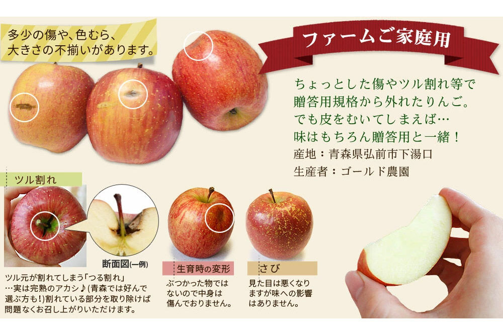 りんご 葉とらず つがる【家庭用】約2.7kg ゴールド農園 家庭用 青森県 弘前市 果物 フルーツ 林檎 リンゴ くだもの 不揃い 規格外 [産地直送 アップル おいしい 果実 美味 甘い 赤色]