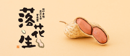 018-04さや付落花生（箱入り）（E-3）