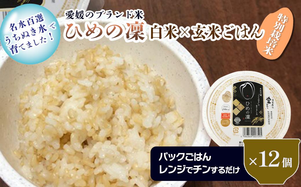 
愛媛のブランド米 「ひめの凜」 白米×玄米 パックごはん 160g×12個　特別栽培米 減農薬 ひめの凜 パック 玄米 レンジでチン 鍋屋ファーム
