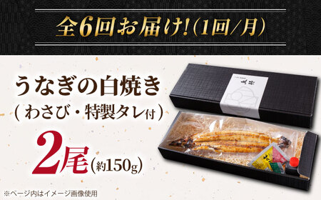 【6回定期便】国産 上うなぎ 白焼き 2尾 約150g×2パック / 鰻 ウナギ うなぎ 白焼き / 御嵩町 / 鰻 季節料理 魚邦[AVBH028]