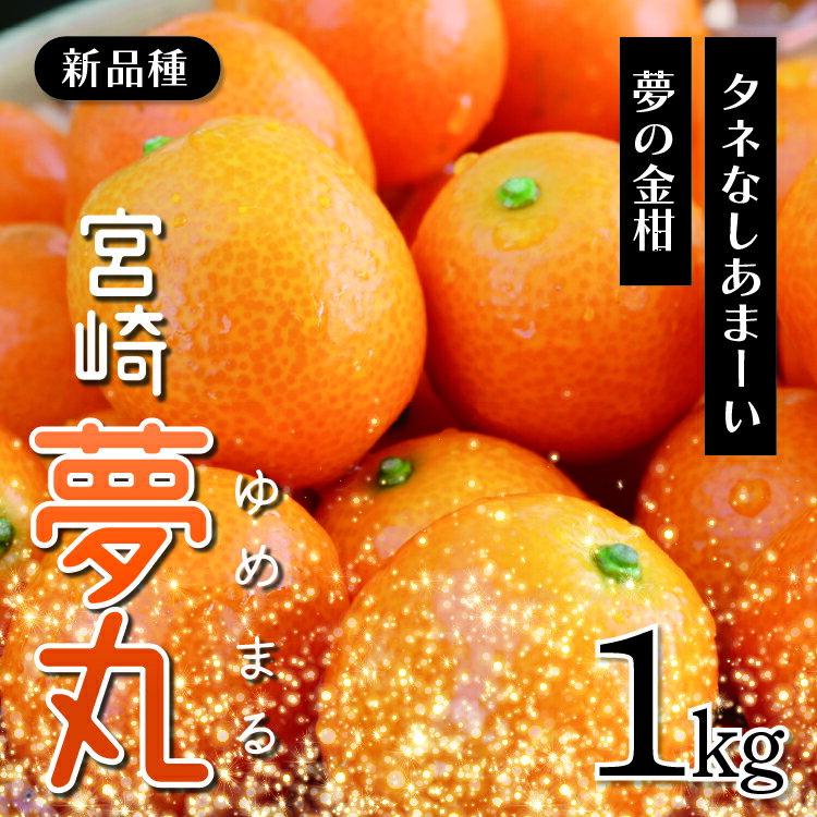 【ふるさと納税】種なし きんかん「宮崎夢丸」 1kg 【完熟 金柑 フルーツ 果物 柑橘 希少 特産品 ギフト プレゼント お取り寄せ グルメ 国産 産地直送 送料無料 綾町】