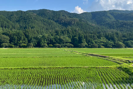 令和７年米 名倉高原米「ゆうだい21」10kg 米 お米 白米 ごはん 数量限定 愛知県産 ブランド米 -269