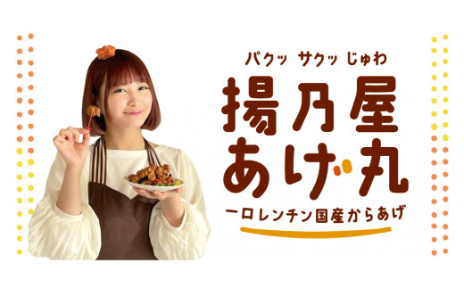 【オヤマ】「揚乃屋あげ丸」～一口レンチン国産からあげ～ 300g×3袋 【 国産 唐揚げ 奥州いわいどり 鶏肉 味噌 惣菜 冷凍 岩手県 一関市 】