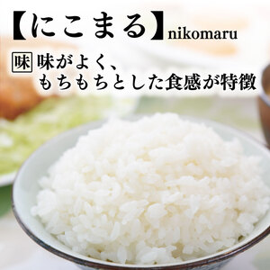 【令和8年産】 米 定期便 10kg×4回 にこまる 米 AS015