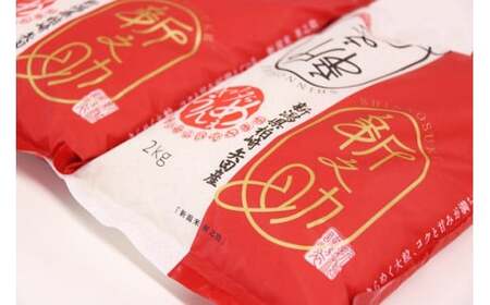 新米先行予約【令和8年産米・3ヶ月定期便】新之助 無洗米 4kg（2kg×2袋）×3回（計 12kg）ヤタらうんめぇお米 水田環境鑑定士在籍 しんのすけ[Y0179]