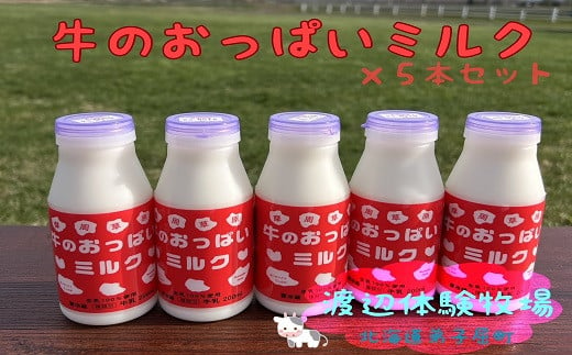 
1851.牛のおっぱいミルク５本セット　渡辺体験牧場
