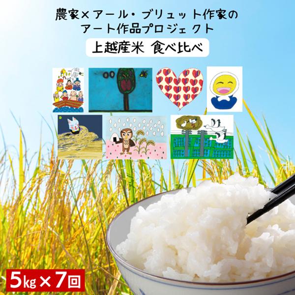 令和7年産 新潟県産 米 5kg 食べ比べ コシヒカリ こしいぶき 新之助 つきあかり みずほの輝き 先行予約 定期便 新米 アール・ブリュット アート 上越市 上越産 おすすめ 限定