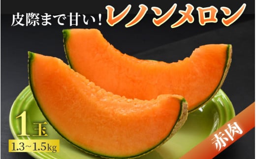 【先行予約】佐藤農園の赤肉と青肉食べ比べ計2玉（レノンメロン・アンデスメロン）農家直送 秀品 お届け！ / フルーツ くだもの 特産 旬 夏 果物 完熟  メロン 朝どれ 美味しい お取り寄せ 贈答 