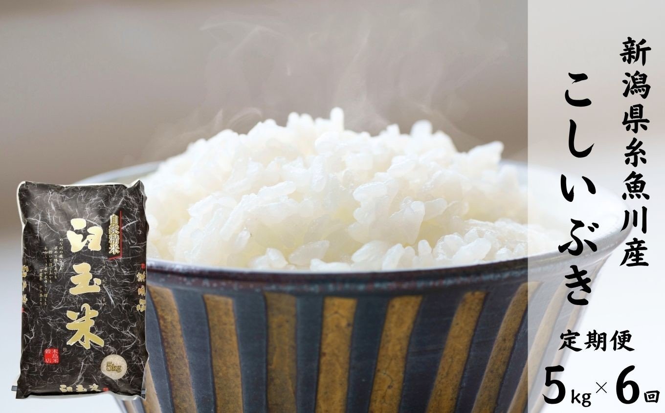 
            令和7年産新米【定期便】新潟県産こしいぶき『臼玉米』5kg×6回 毎月お届け 全30kg 糸魚川産 白米 2025年産 木島米穀店【米 お米 ご飯 ライス ふるさと納税米 ブランド米 コシイブキ 食品 おすすめ 人気 新潟県 糸魚川市 6か月 6ヵ月 6ヶ月】
          