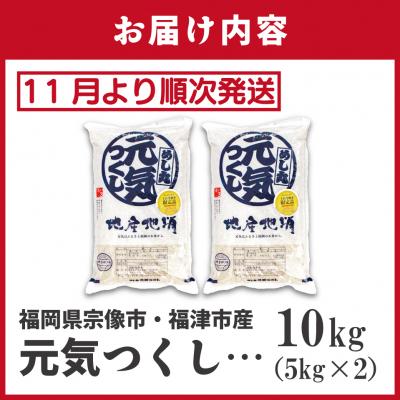 ふるさと納税 宗像市 先行受付 福岡県ブランド米「元気つくし」10kg【ほたるの里】_HA1789 |  | 01