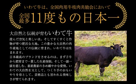 いわて牛ロースステーキ1kg（200g×5枚）/牛肉 ロース ステーキ 黒毛和牛 ブランド牛 いわて いわて牛ロースステーキ ステーキ肉 A5 A4 ぎゅうにく お肉 高級 贈答用 ギフト プレゼント