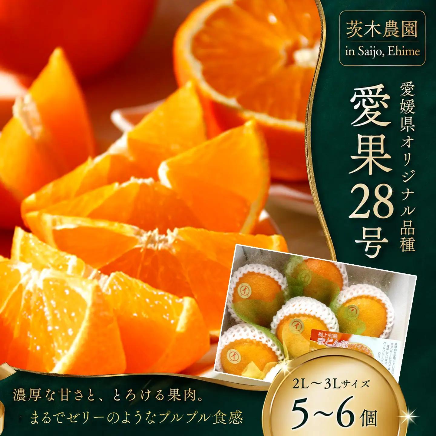 【紅まどんなと同品種】茨木農園の愛果28号_小箱（5～6個）｜まどんな