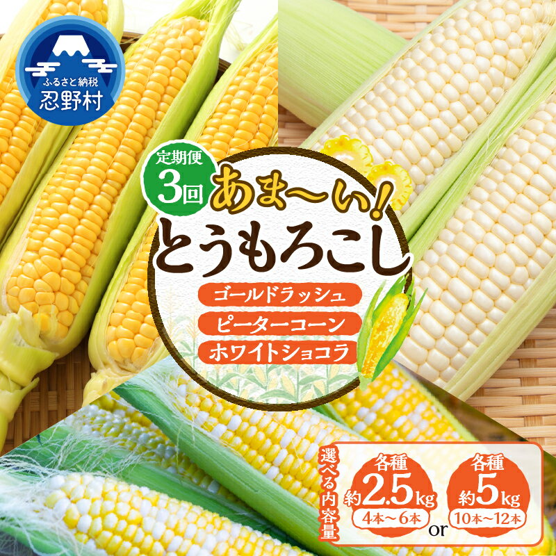 【ふるさと納税】 ＼＼★セレクト定期便(月3回お届け)★ 2026年先行予約／／ とうもろこし ゴールドラッシュ ピーターコーン ホワイトショコラ 食べ比べ 約2.5kg 約5kg 朝採れ 人気 野菜 お取り寄せ 産地直送 新鮮 ギフト 贈答 送料無料 山梨県 忍野村 ※沖縄県、離島不可