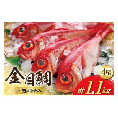 ふるさと納税 島原市 金目鯛 大サイズ(200〜300g)(4尾 計約1.1kg)《下処理済み》【煮付け・塩焼き用】