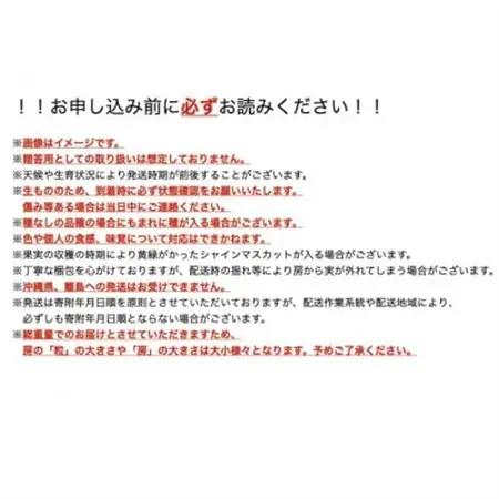 【2026年10月～11月発送】長寿の村信州高山村産シャインマスカット約1kg箱(2房～4房)【配送不可地域：離島・沖縄県】【1383479】