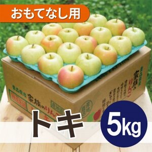 【25年10月出荷】平均糖度12度以上! トキ 約5kg おもてなし用【配送不可地域：離島・沖縄県】【1626511】