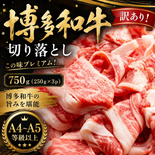 訳あり！【A4～A5】この味プレミアム！博多和牛切り落とし 750g (250g×3p) | 牛肉 ブランド牛 国産 和牛 切落とし 福岡 博多 すき焼き しゃぶしゃぶ 肉じゃが 炒め物 CP055c