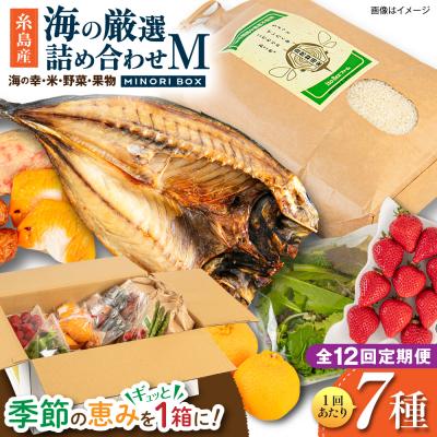 ふるさと納税 糸島市 全12回定期便 糸島産 魚 米 野菜 果物 厳選詰め合わせ MINORI BOX M[AOP026]