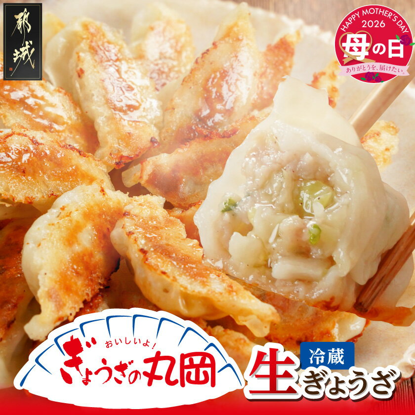 【ふるさと納税】【母の日】【ぎょうざの丸岡】生ぎょうざ50個たれ付き≪5月9日(土)お届け≫ - 餃子 国産豚肉 国産野菜 ご当地グルメ 故郷の味 冷蔵配送 母の日 ギフト プレゼント 贈答用 送料無料 AA-O101-MG 【宮崎県都城市は2年連続ふるさと納税日本一！】