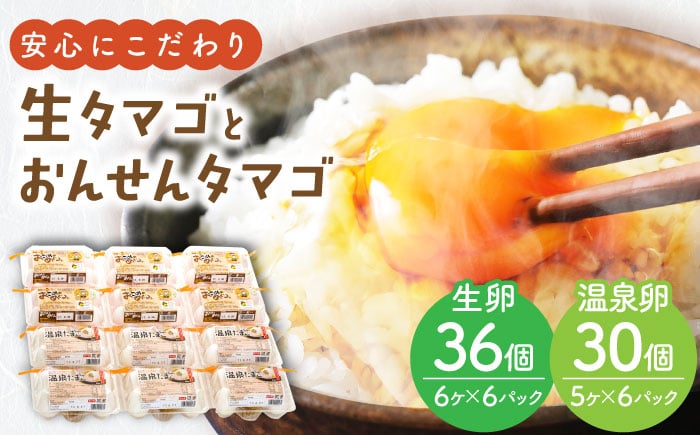 
            島根の米たまご「おこめのめぐみ」(6個入×6パック)と温泉たまご(5個入×6パック)のセット  島根県雲南市/有限会社木次ファーム [AIDD001]
          