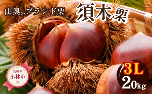 【山奥のブランド栗】大粒すきすき須木栗 3L サイズ以上 2kg（生栗 マロン くり 甘露煮 栗ご飯 限定）