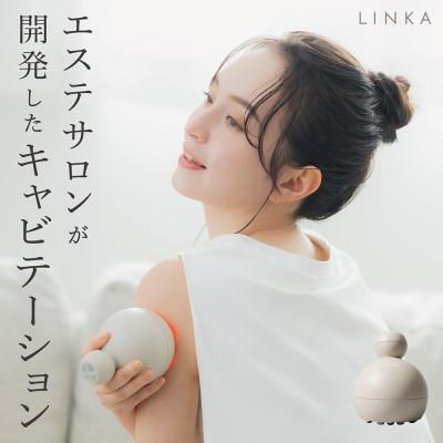 ふるさと納税 つくばみらい市 LINKA リンカ キャビ二スト