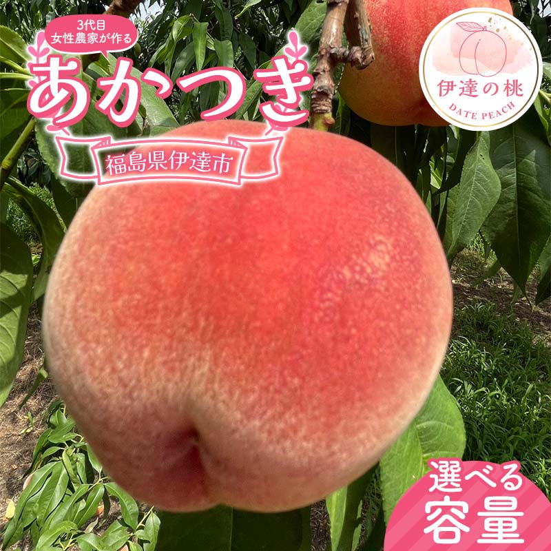 【ふるさと納税】【選べる容量】3代目の女性の農家が作る桃あかつき 約3kg（9～12玉） 約5kg（18～22玉） 桃 もも モモ 果物 くだもの フルーツ 国産 食品 F21C-128var