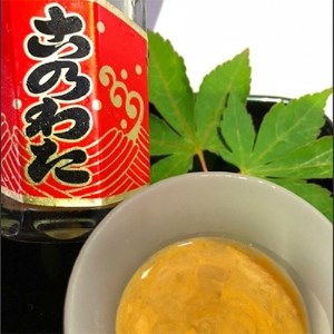 能登の珍味3点セット「能登の磯の香」(岩もずく・このわた・なまこ)【配送不可地域：離島】【1093508】