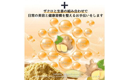 【全3回】魅惑ザクロ GINGER Boost(福岡市返礼品)【3袋入り】