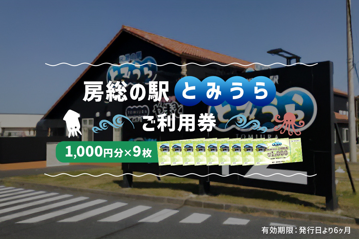 
房総の駅とみうらご利用券　1000円分×9枚 mi0069-0003
