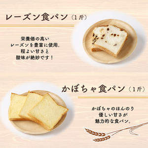 6回定期便 食パンバラエティセット【室戸海洋深層水仕込み】  4斤×6回 食パン もちもち ぱん 北海道産小麦使用