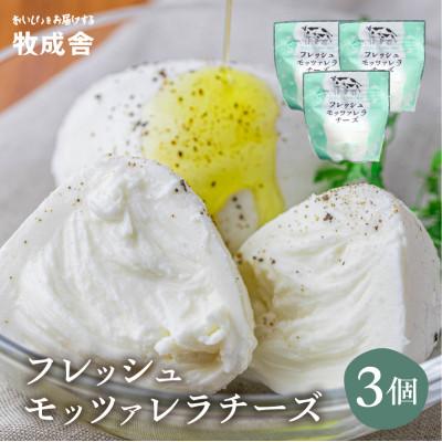 ふるさと納税 飛騨市 【2ヵ月毎定期便】飛騨の牛乳屋・牧成舎の飛騨のフレッシュモッツァレラチーズ3個セット全3回