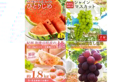 【全4回】紀州和歌山産旬のフルーツ定期便 (スイカ・桃・巨峰・シャインマスカット) / すいか スイカ もも 桃 白桃 巨峰 マスカット シャインマスカット 葡萄 ぶどう 果物 くだもの フルーツ フ