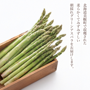 2026年産 柔らかくてみずみずしい朝取りグリーンアスパラ(春芽)3L 1kg【配送不可地域：離島】 BHRG028 | アスパラガス