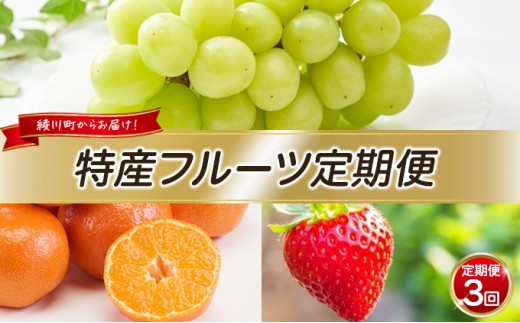 フルーツ 定期便 年 3回 香川県産 国産 さぬきひめ いちご 苺 ハウスシャインマスカット シャインマスカット ぶどう 金時紅みかん 小原紅 みかん 蜜柑 柑橘 果物 くだもの 果実 季節の果物 定期 贈答 ギフト 内祝い お取り寄せ 香川県 綾川町