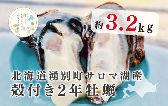 ≪先行予約11月中旬から発送≫北海道湧別町サロマ湖産　殻付き2年牡蠣3.2kg（約24〜32個入）