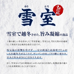 北海道産 熟成じゃがいも メークイン 4kg  期間限定 雪室貯蔵 十勝産 ジャガイモ じゃが芋 いも 甘い