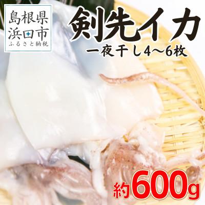 ふるさと納税 浜田市 島根県産浜田市加工シーライフの真イカ(白いか)の一夜干し合計600g(4〜6枚)真空包装で鮮度長持ち