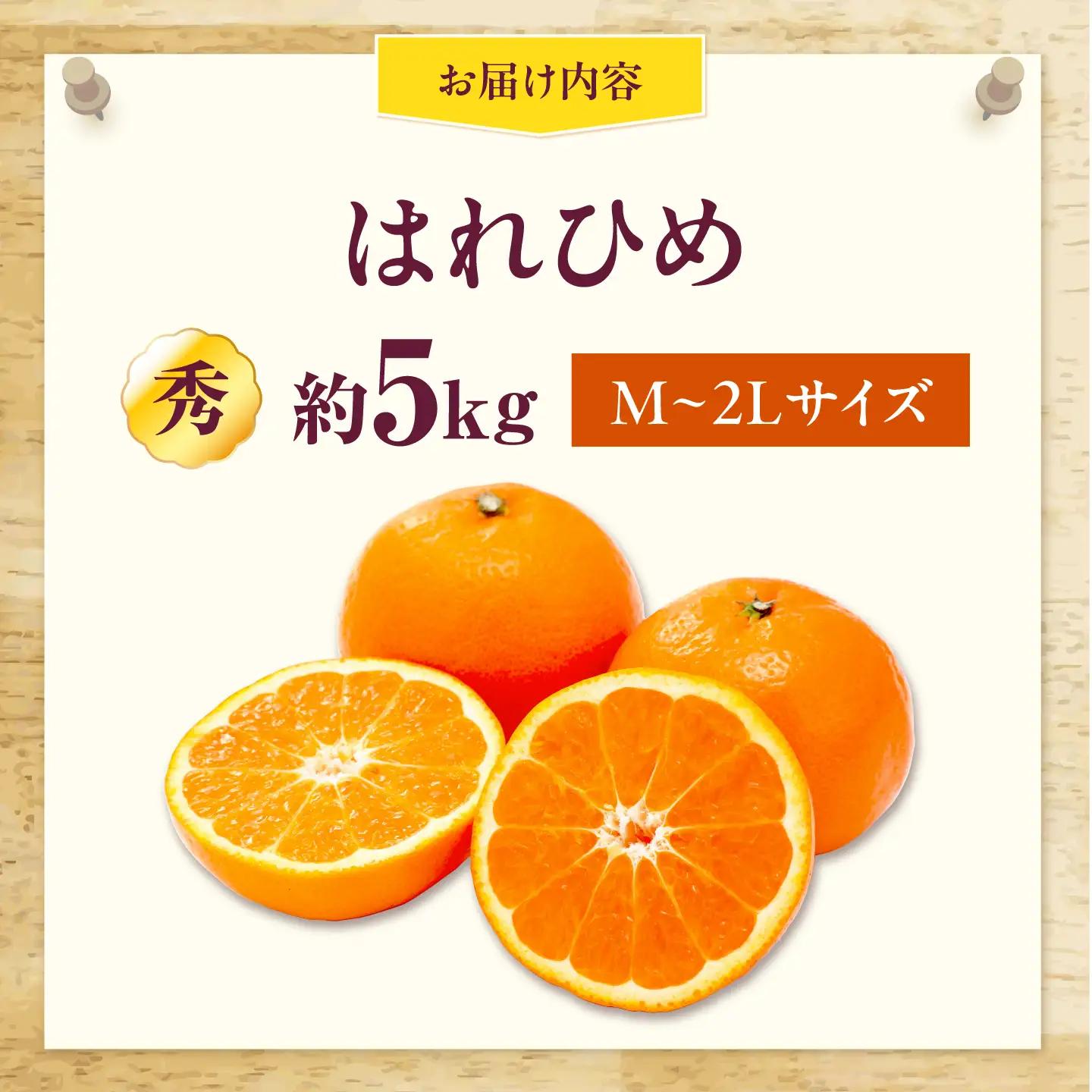 みかん はれひめ 約5kg【12月上旬から12月下旬まで順次発送】/ フルーツ 果物 蜜柑 ミカン オレンジ 甘い 5kg 愛媛 / 愛媛県砥部町/株式会社高島屋[BJCM009]