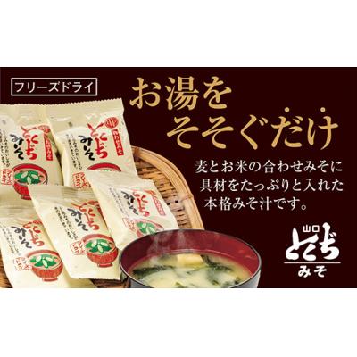ふるさと納税 山口市 とくぢ味噌フリーズドライみそ汁(合わせ)30ヶ入 D500