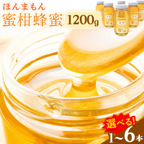 【先行予約】【ふるさと納税】蜂蜜 ほんまもん蜜柑（みかん）蜂蜜 1200g 選べる本数 1本(1200g×1本) 2本(1200g×2本) 4本(1200g×4本) 6本(1200g×6本) 村上養蜂《2025年6月上旬-翌年4月頃出荷予定》和歌山県 紀の川市 蜂蜜 はちみつ みかんはちみつ