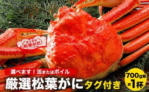 
            765.【選べます！活またはボイル】≪2025年11月発送≫ 特撰 松葉がに【ブランドタグ付き】（700g超×1杯）【松葉ガニ 松葉蟹 松葉かに 蟹 かに 山陰 特大 大きい 活 ボイル タグ付き 鳥取県産 鳥取県 北栄町 おすすめ 人気 新鮮】
          